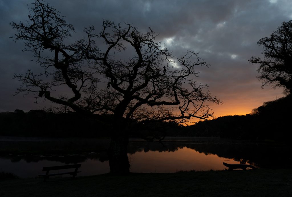 photographe morbihan finister bretagne photo portrait shooting