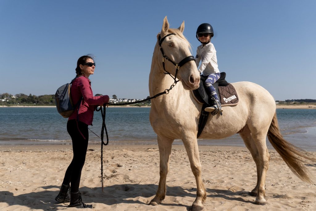 photo cheval photographe bretagne morbihan finistère