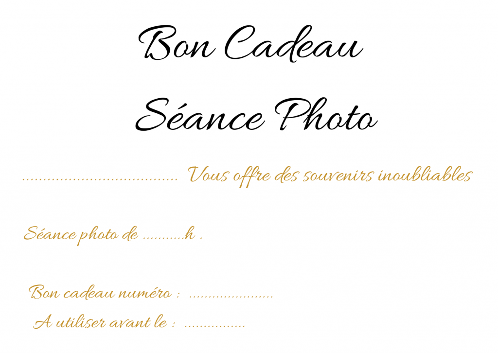 carte cadeau photo portrait mariage bretag,e morbihan finistère lorient quimper quimperlé moelan sur mer