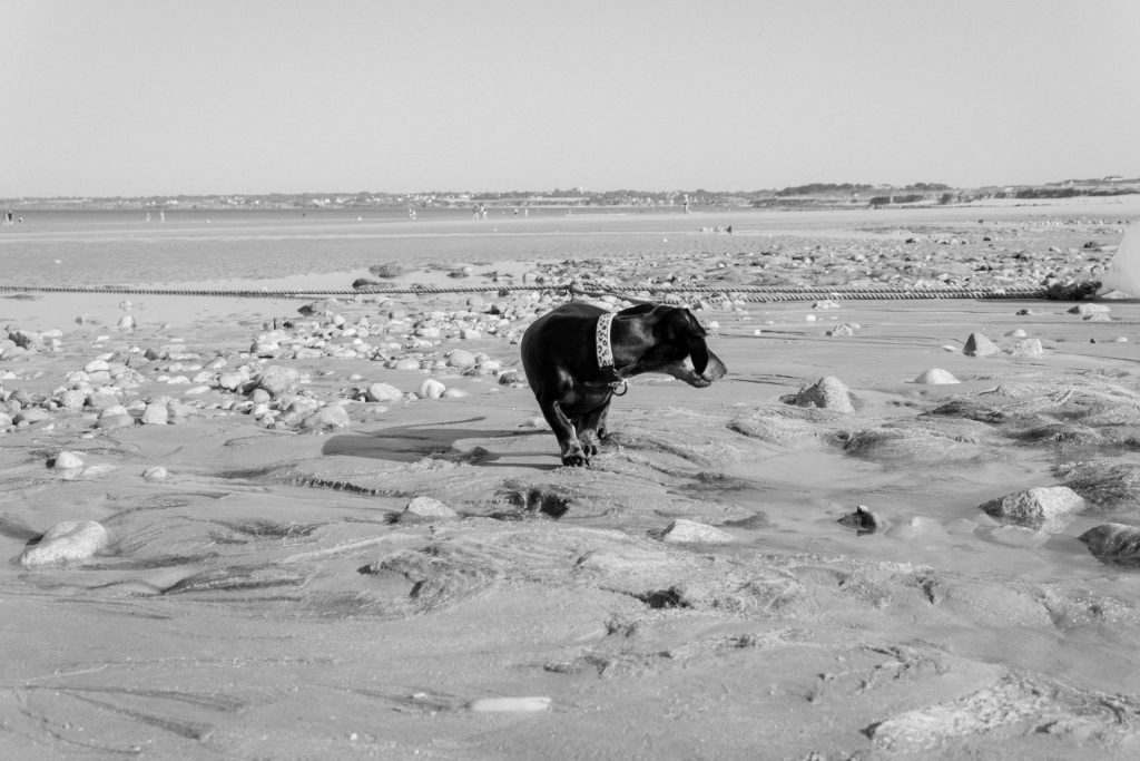 photographe bretagne finister morbihan quimper lorient quimperlé